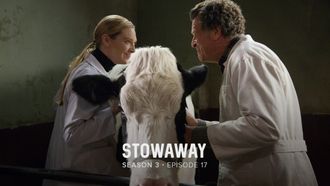 Episode 17 Stowaway