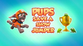 Episode 16 Pups Stop a Super Shaker/Pups Save a Flying Farmhouse