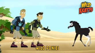 Episode 7 Wild Ponies
