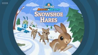 Episode 15 Snowshoe Hares