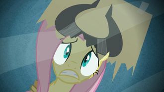 Episode 19 Putting Your Hoof Down