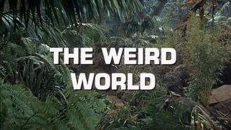 Episode 11 The Weird World