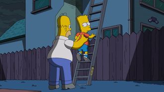 Episode 21 Flanders' Ladder