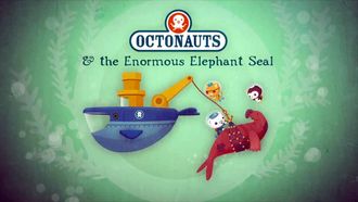 Episode 39 The Enormous Elephant Seal