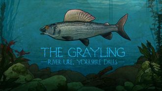 Episode 6 The Grayling: River Ure, Yorkshire Dales