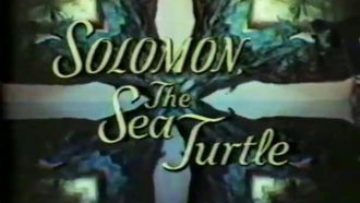 Episode 12 Solomon, the Sea Turtle