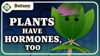 Episode 3 Plant Cells & Hormones