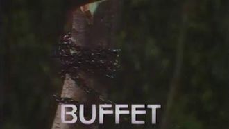 Episode 7 Buffet
