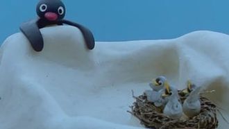 Episode 8 Pingu and the Birds' Mother