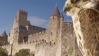 Episode 2 Carcassone: The Realm of the Owl