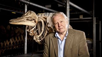 Episode 7 Attenborough's Life Stories: Our Fragile Planet