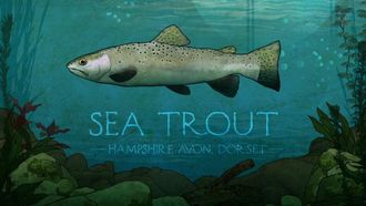 Episode 5 Sea Trout in Dorset