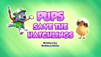 Episode 38 Pups Save the Hatchlings