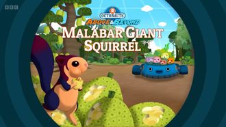 Episode 18 Malabar Giant Squirrel