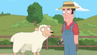 Episode 49 Sheep Shearing