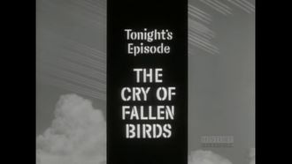 Episode 28 The Cry of Fallen Birds