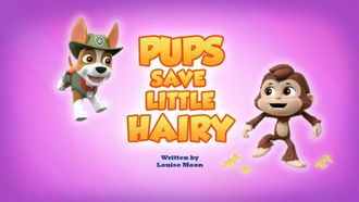 Episode 44 Pups Save Little Hairy