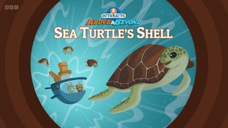 Episode 22 Sea Turtle’s Shell