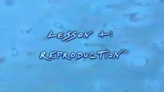 Episode 4 Reproduction