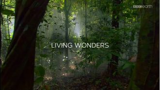 Episode 3 Living Wonders