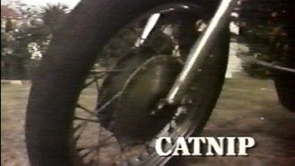 Episode 11 Catnip
