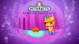 Episode 8 The Porcupine Puffer