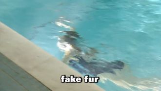 Episode 64 Fake Fur