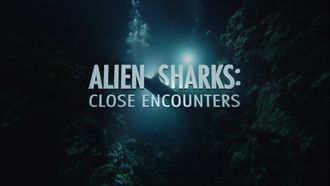 Episode 5 Alien Sharks: Close Encounters