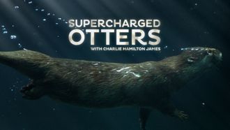 Episode 5 Supercharged Otters