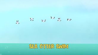 Episode 5 Sea Otter Swim