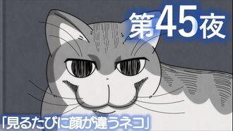 Episode 45 Night 45: A Cat Whose Face Changes Every Time You Look