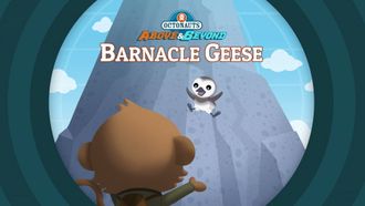 Episode 13 Barnacle Geese