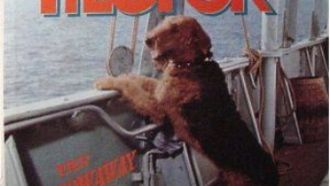 Episode 12 The Ballad of Hector the Stowaway Dog: Where the Heck Is Hector?