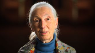 Episode 7 Jane Goodall