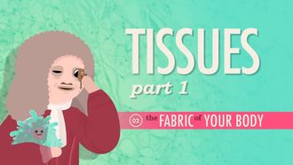 Episode 2 Tissues Part 1: The Fabric of Your Body