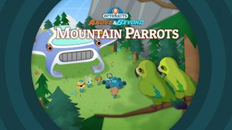 Episode 22 Mountain Parrots