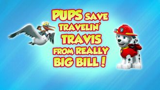 Episode 45 Pups Save Travelin' Travis from Really Big Bill!