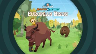 Episode 16 European Bison
