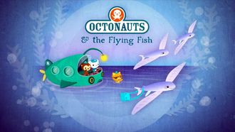 Episode 5 The Flying Fish