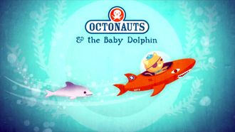 Episode 35 The Baby Dolphin