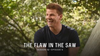 Episode 6 The Flaw in the Saw