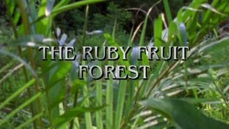 Episode 6 The Ruby Fruit Forest