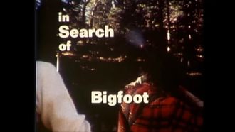Episode 5 Bigfoot