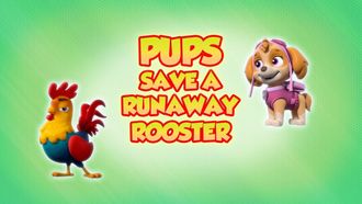 Episode 1 Pups Save a Runaway Rooster/Pups Save a Snowbound Cow