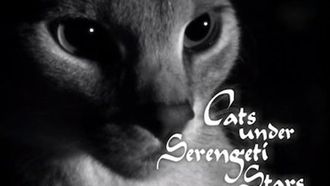 Episode 10 Cats Under Serengeti Stars