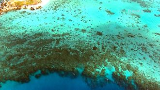 Episode 3 Great Barrier Reef