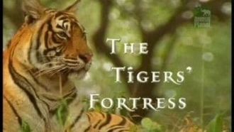 Episode 4 The Tiger's Fortress