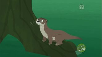 Episode 3 Slider, the Otter