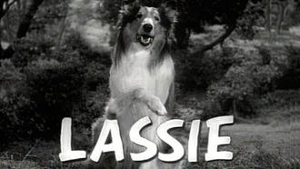 Episode 1 Lassie and the Buffalo
