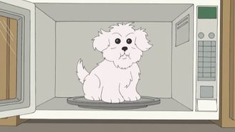 Episode 50 What Happens if You Feed a Dog Chocolate While He Wears a Tin Foil Hat in the Microwave